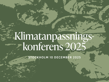 Klimatanpassningskonferens 2025