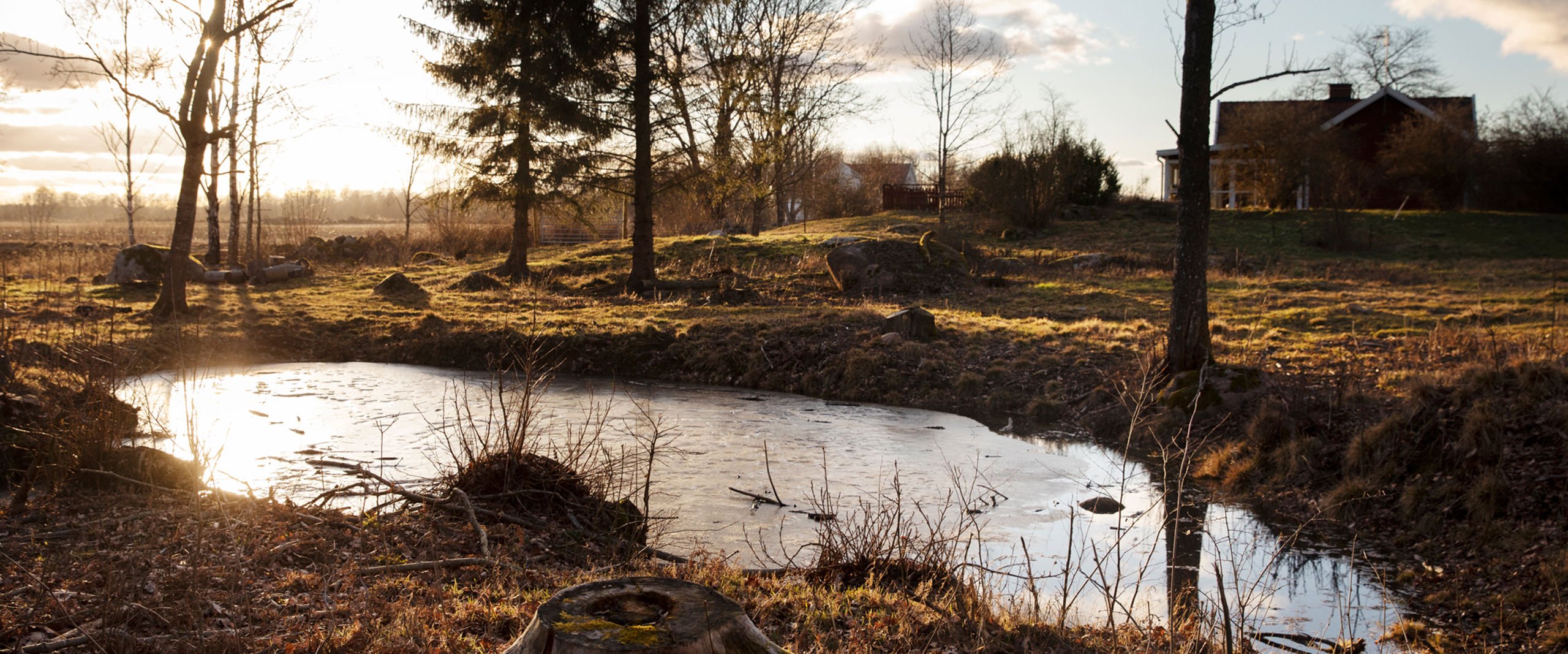 En liten anlagd sjö intill en bostad på landsbygden.