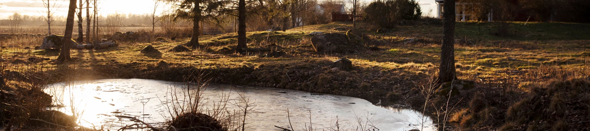 En liten anlagd sjö intill en bostad på landsbygden.