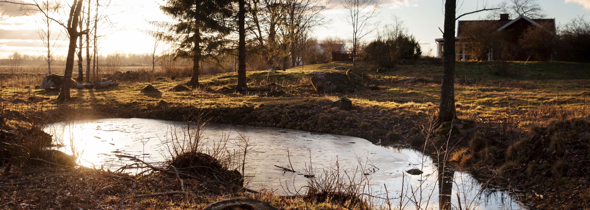 En liten anlagd sjö intill en bostad på landsbygden.